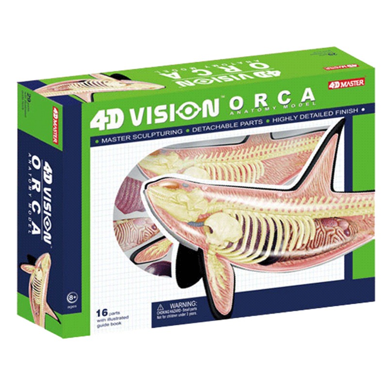 Medical Lab Technology - 4D Vision Orca baleine squelette anatomie