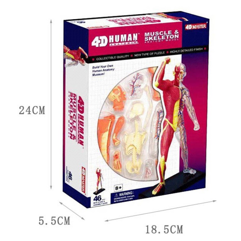 Modèle d'anatomie du squelette - Medical Lab Technology avis et prix