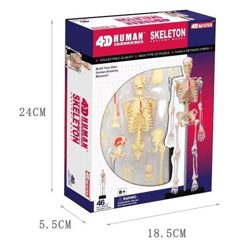 Modèle d'anatomie du squelette - Medical Lab Technology avis et prix